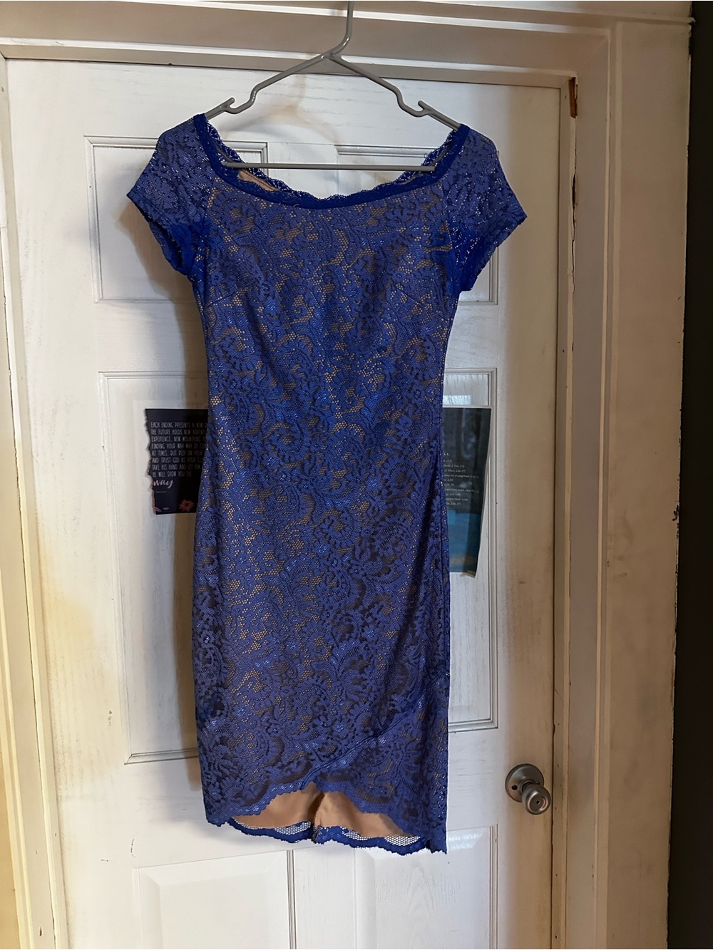 Blue Lace Sheath Dress - (Bisou Bisou)